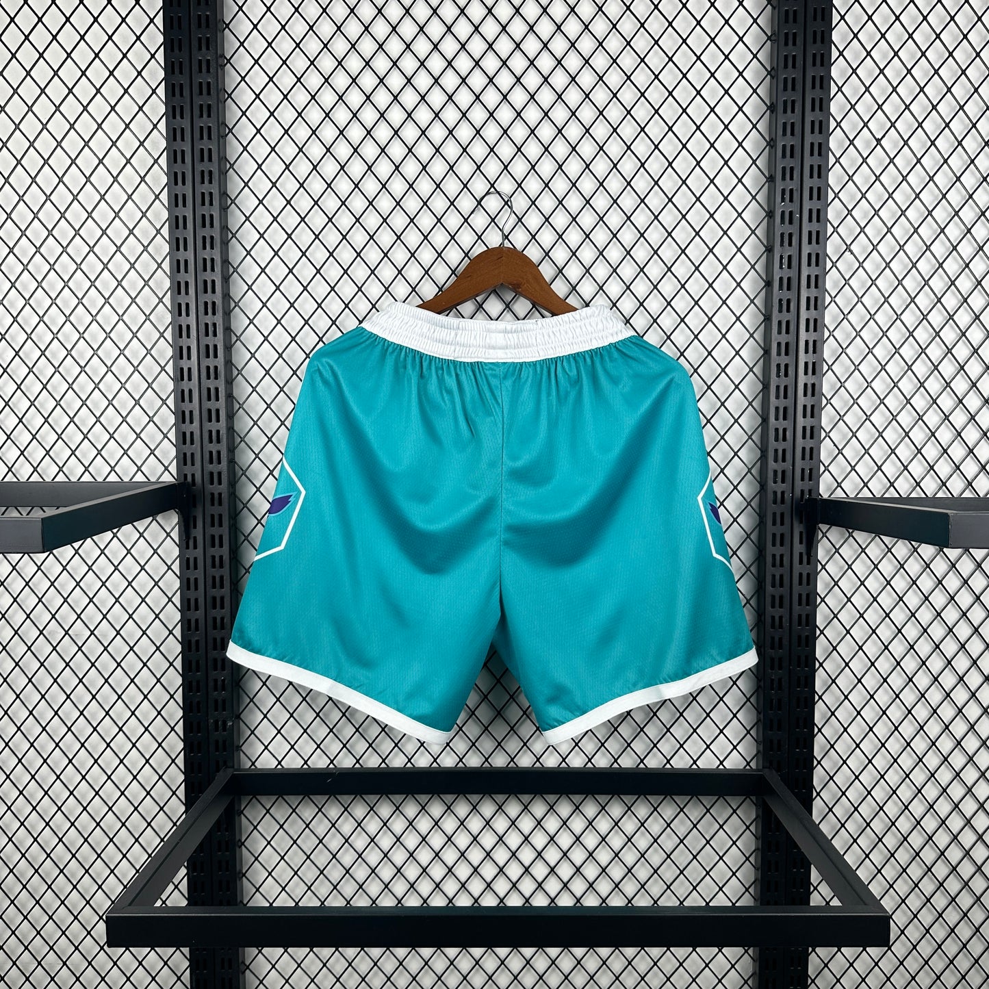 Charlotte Hornets “Teal Icon” Shorts